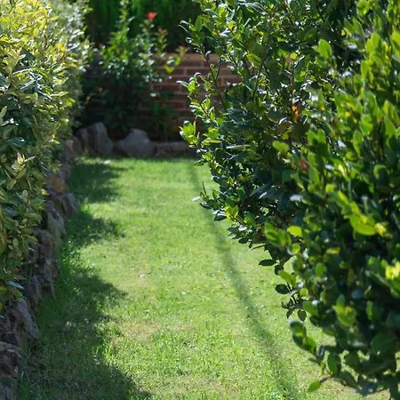 Neriides * Hersónissos