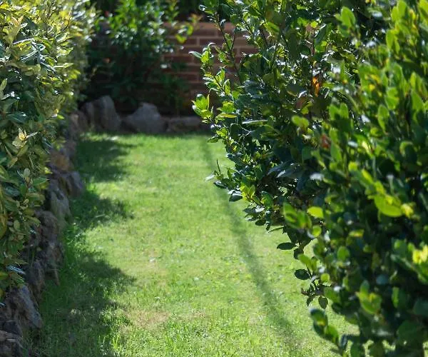 Neriides * Herszonisszosz