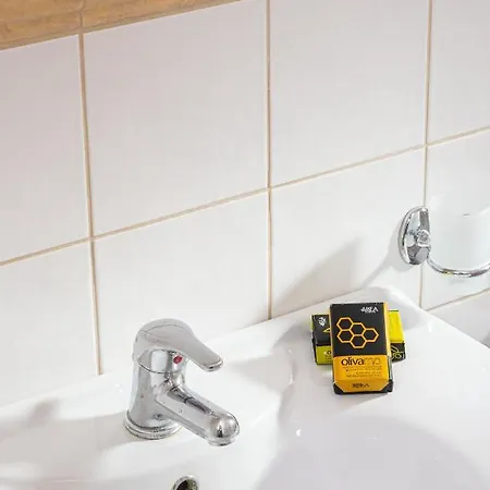 Neriides 헐소니소스